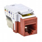 RJ45FC5E-RED参考图片