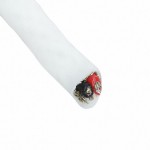 2824/3 WH005参考图片