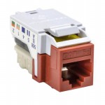 RJ45FC5EB-RED参考图片