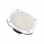 FRS 10 WP - 8 OHM (WHITE)参考图片